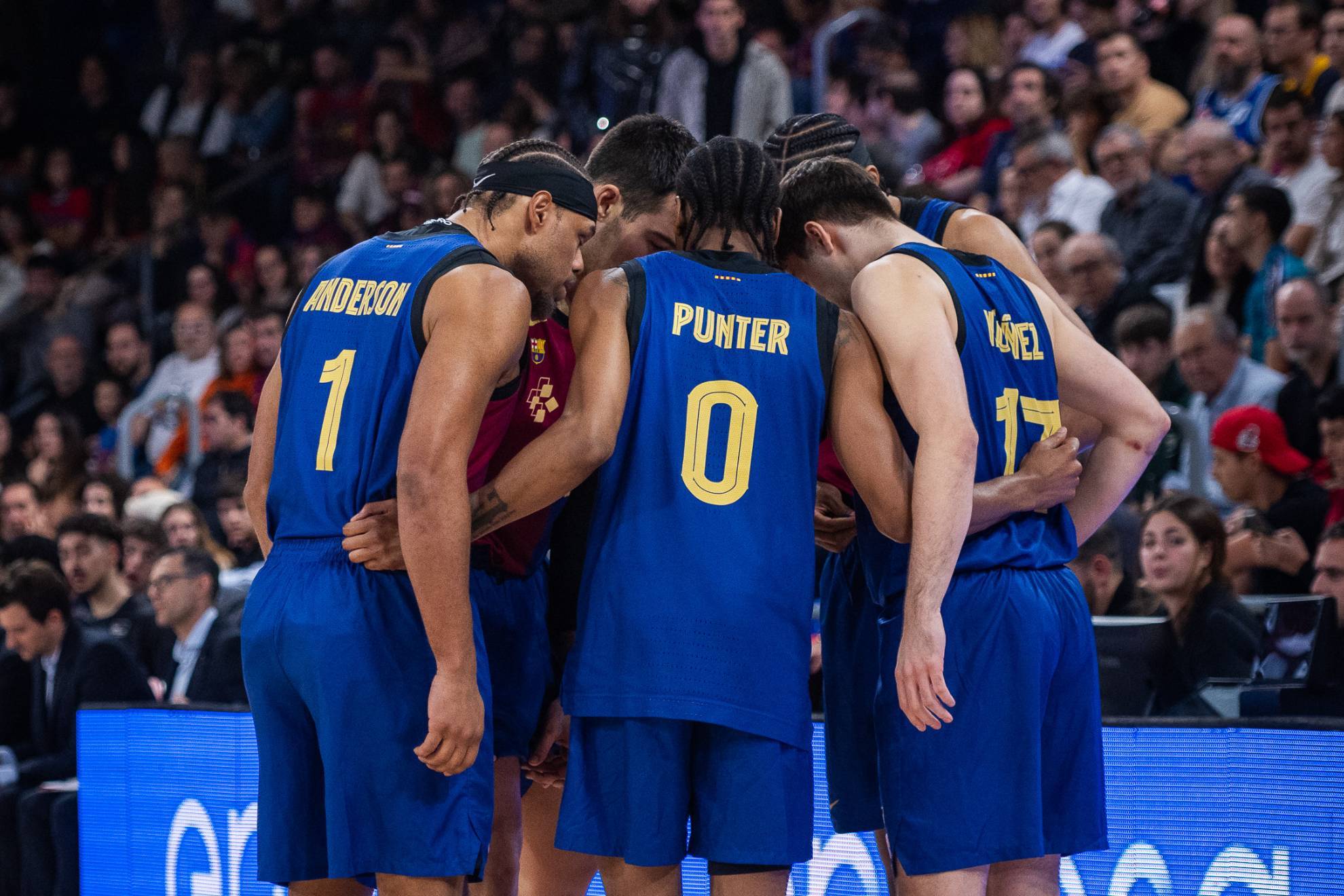 布歇这种类 布歇这种类